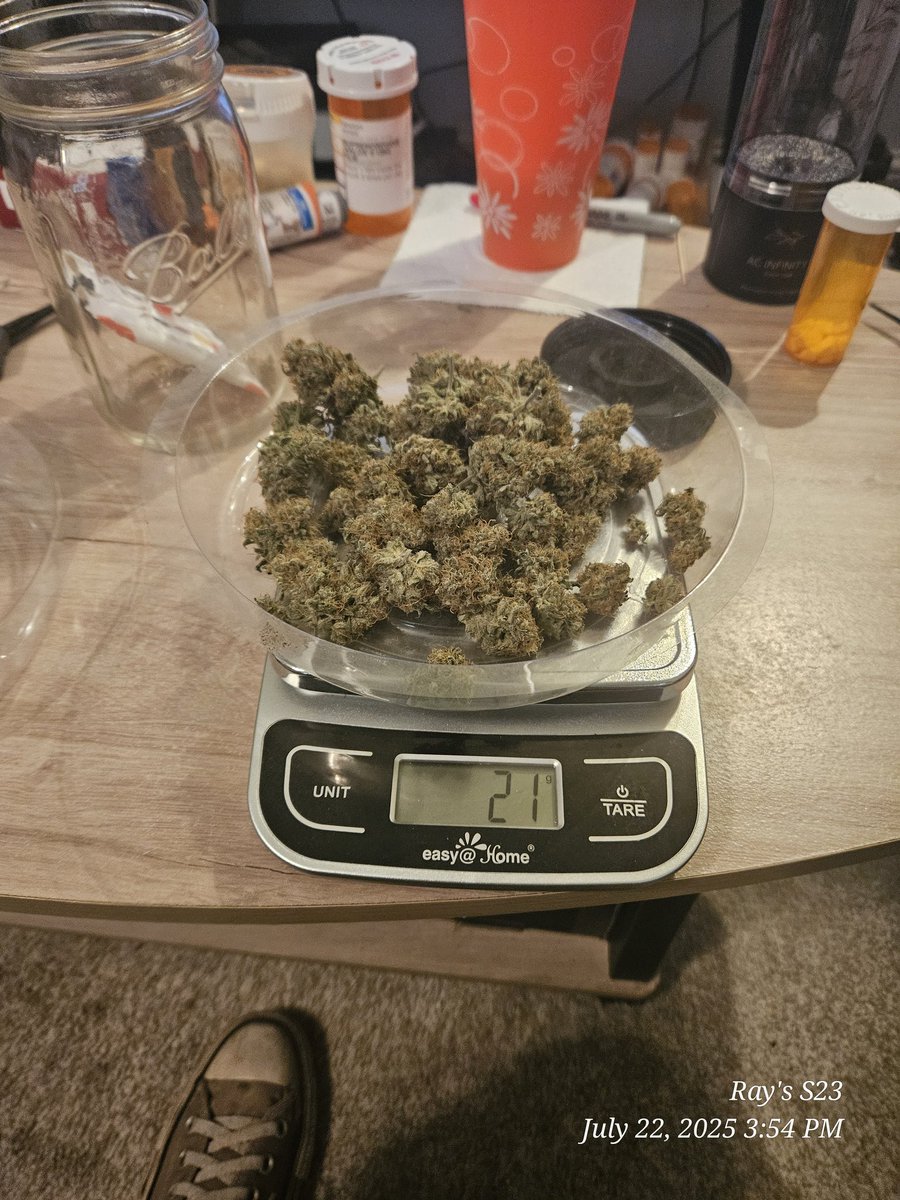 Ray_Jones74's tweet image. Results of this little Break Up Cake Auto from @KannabiaSeeds! The @HerbsNOW_USA dryer did an outstanding job at drying it perfect and for the first time am able to enjoy the terps of my herb. Thank you both for a successful harvest! #homegrownmeds #growyourown