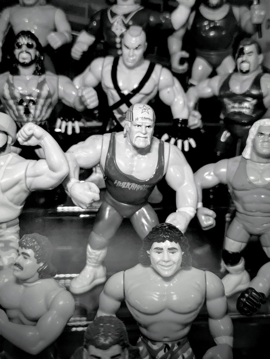 Rest in peace Hulkster !
Hulkamania will live forever brother ! 💪🙏