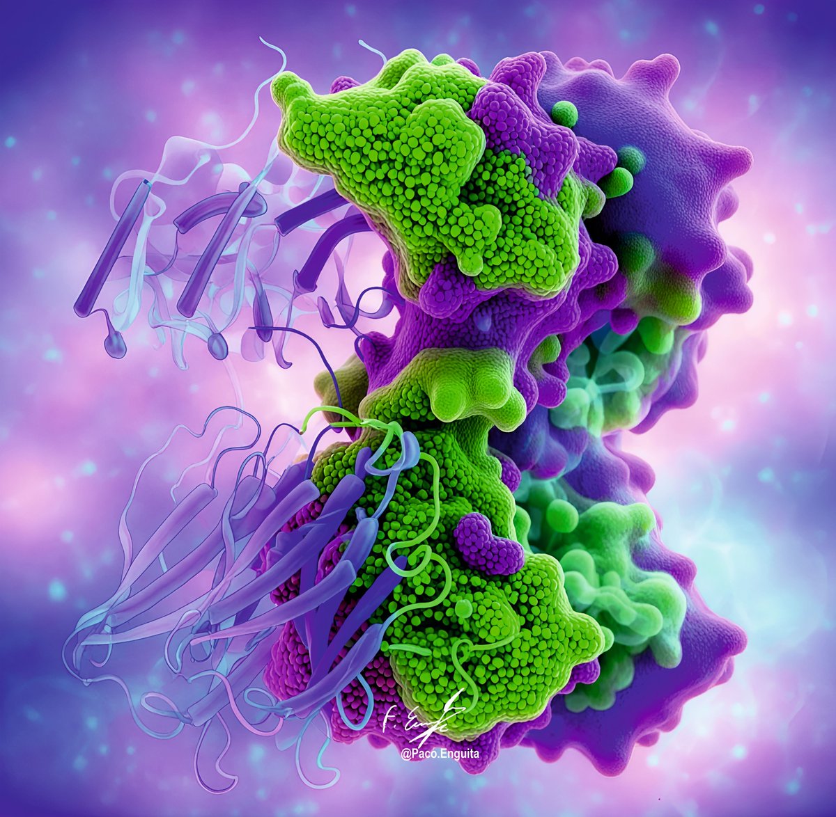 fenguita's tweet image. Crystal structure of LJF-0085 Fab, a non-human primate antibody targets HIV-1 envelope protein (PDB code: 9DMF) #scivis #molecularart @dzine_ai @proteinimaging
behance.net/gallery/231085…