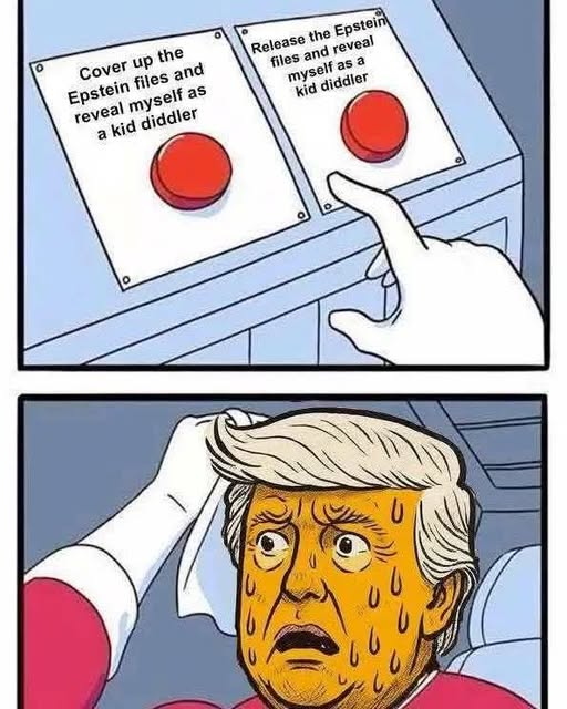 DecolonialFeIIa's tweet image. 