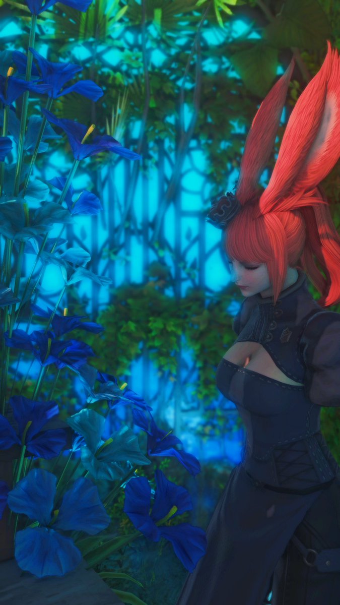 chooogen's tweet image. #FF14SS #ヴィエラ #おはウサ