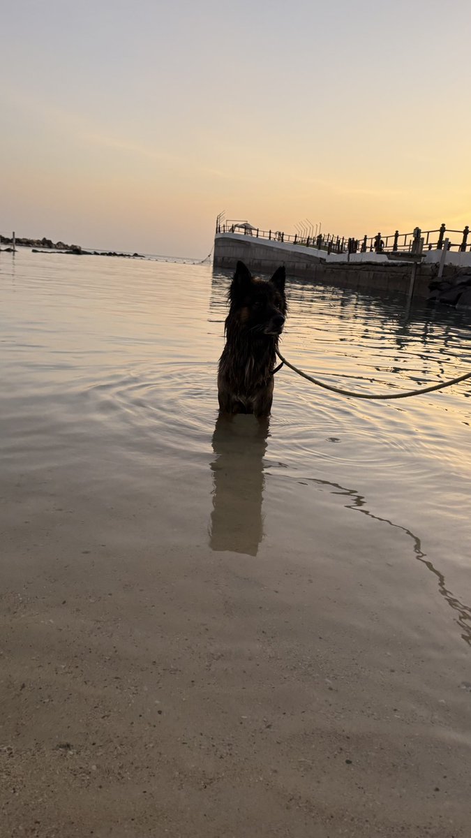 Feras Alzahrani|OT tweet media
