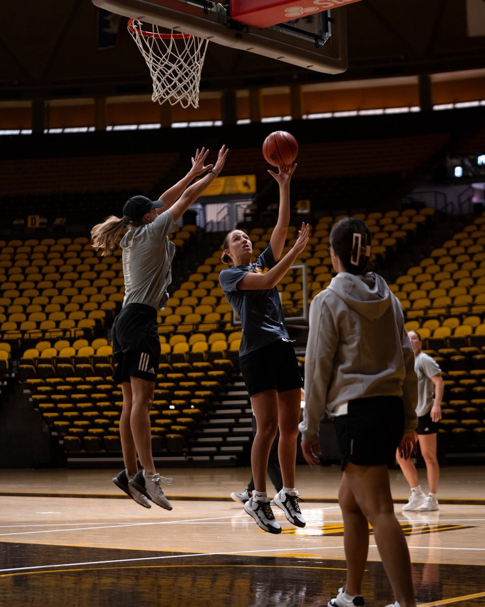 wyo_wbb's tweet image. The summer grind in Laradise 😤