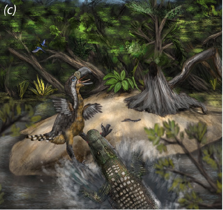 Pablo Correa tweet media