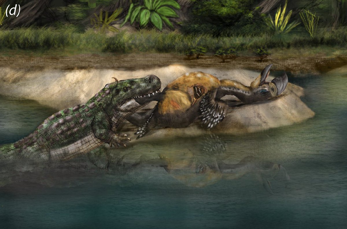 Pablo Correa tweet media