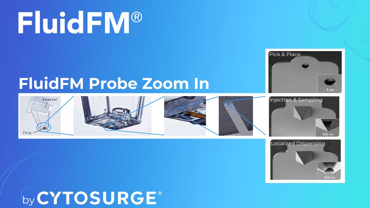 Zoom into the future of single-cell research. 🔬 
With #FluidFM®, you can manipulate cells non-destructively — from adhesion to biopsies to real-time tracking.
🧫 Precision. 🧠 Insight. 💉 Control.

#PrecisionScience #CellularResearch #SingleCell #Cytosurge #Biotech