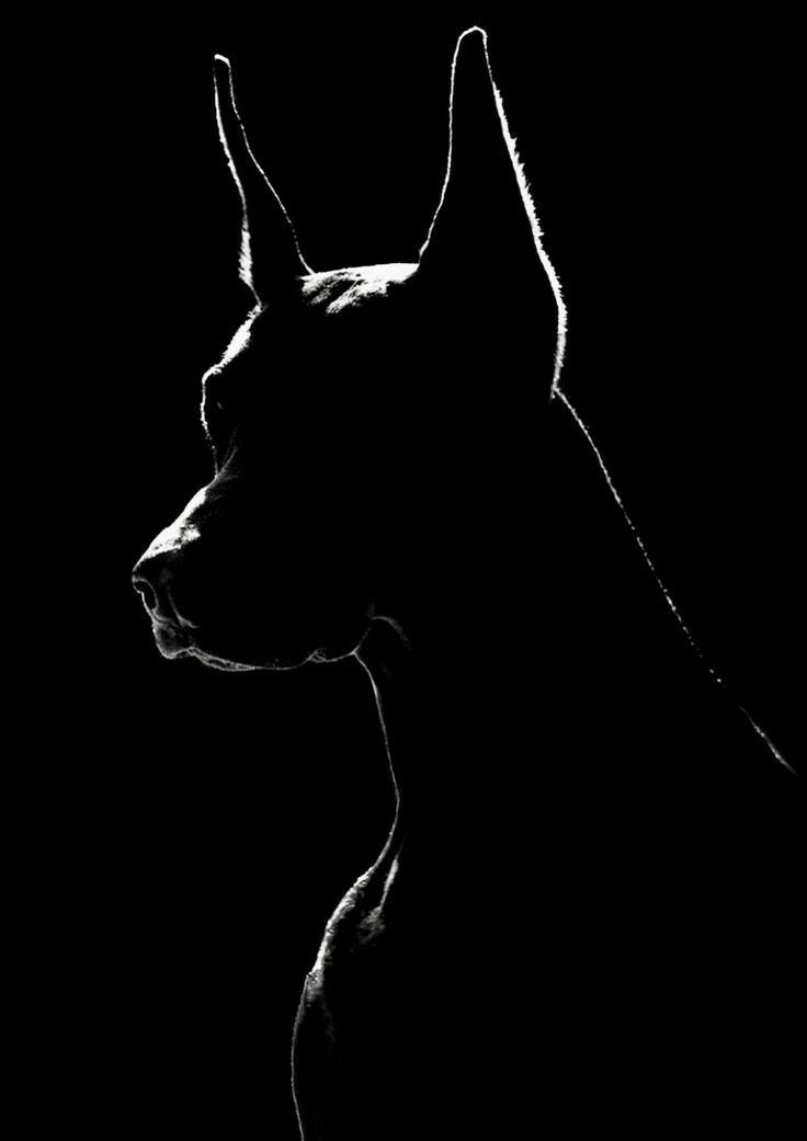 𝖆𝖗𝖙𝖟~𝖓𝖔𝖜 (@artznow_) on Twitter photo 