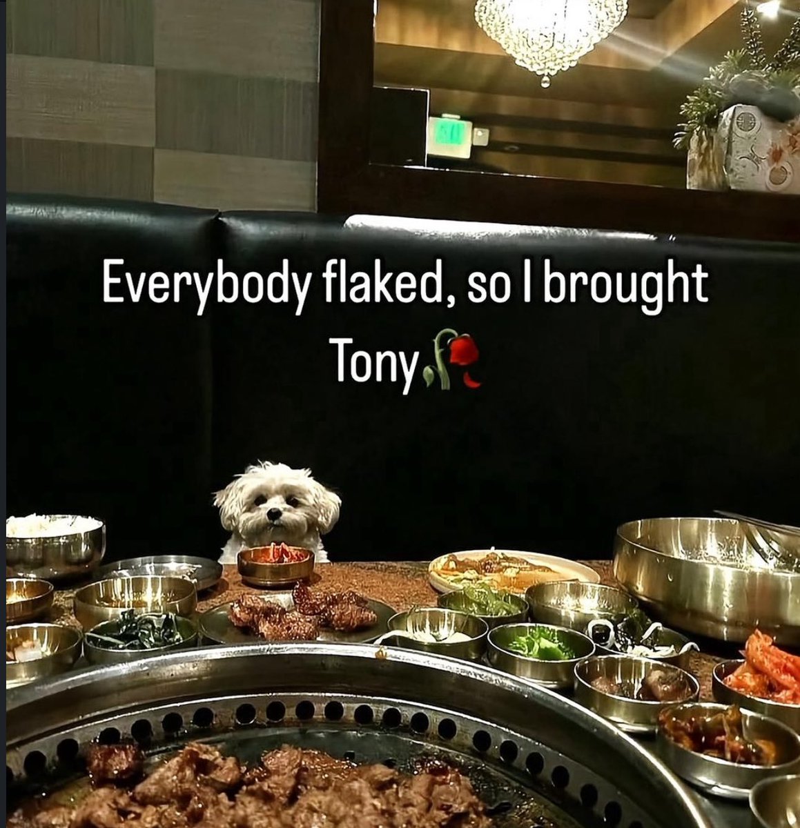localmemeaddict's tweet image. 