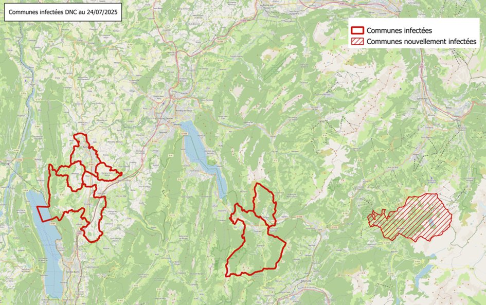 Point sur la DNC, maladie contagieuse bovine qui touche les départements de Savoie
#FrAgTw 
(sources GDS BFC) 
1/n