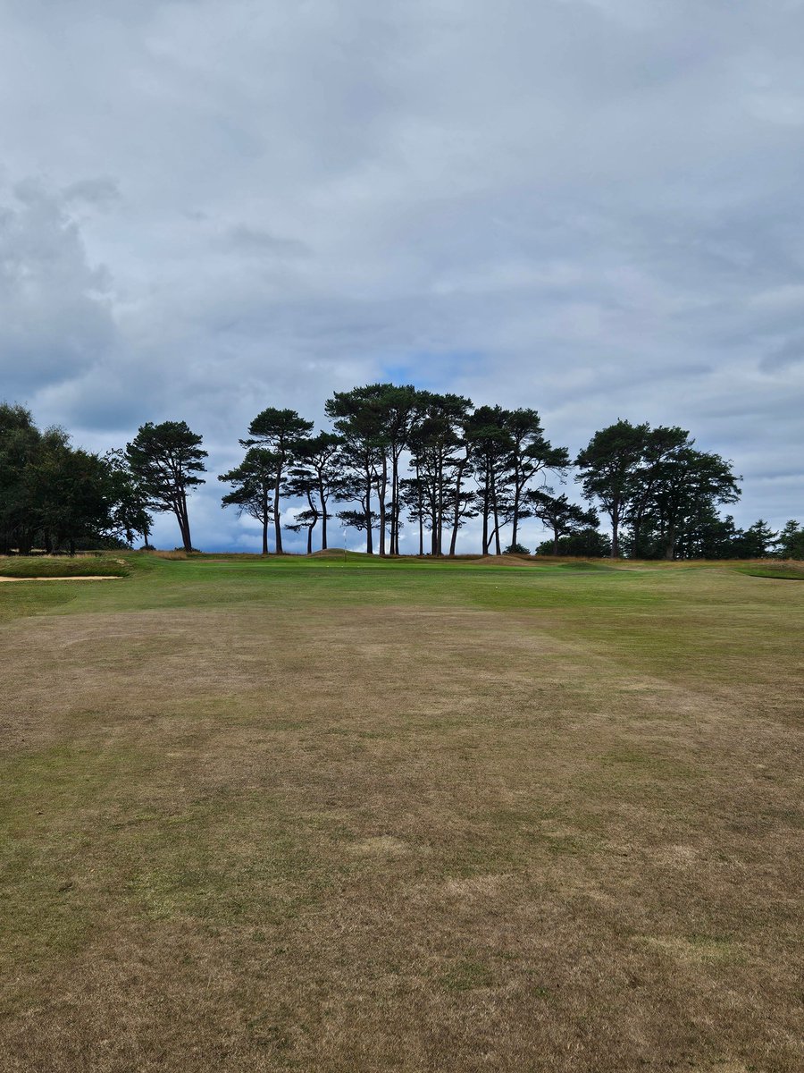 East Devon Golf Club (@eastdevon_gc) on Twitter photo 👀The heather is coming into bloom and the benefits of scrub clearance are starting to show 👀
#eastdevongolfclub #golfindevon #heathlandgolf #heathlandrestoration #top100golfcourses #lovegolf
<a href="/swsportsnews/">South West Sports News</a> 👀The heather is coming into bloom and the benefits of scrub clearance are starting to show 👀
#eastdevongolfclub #golfindevon #heathlandgolf #heathlandrestoration #top100golfcourses #lovegolf
<a href="/swsportsnews/">South West Sports News</a>