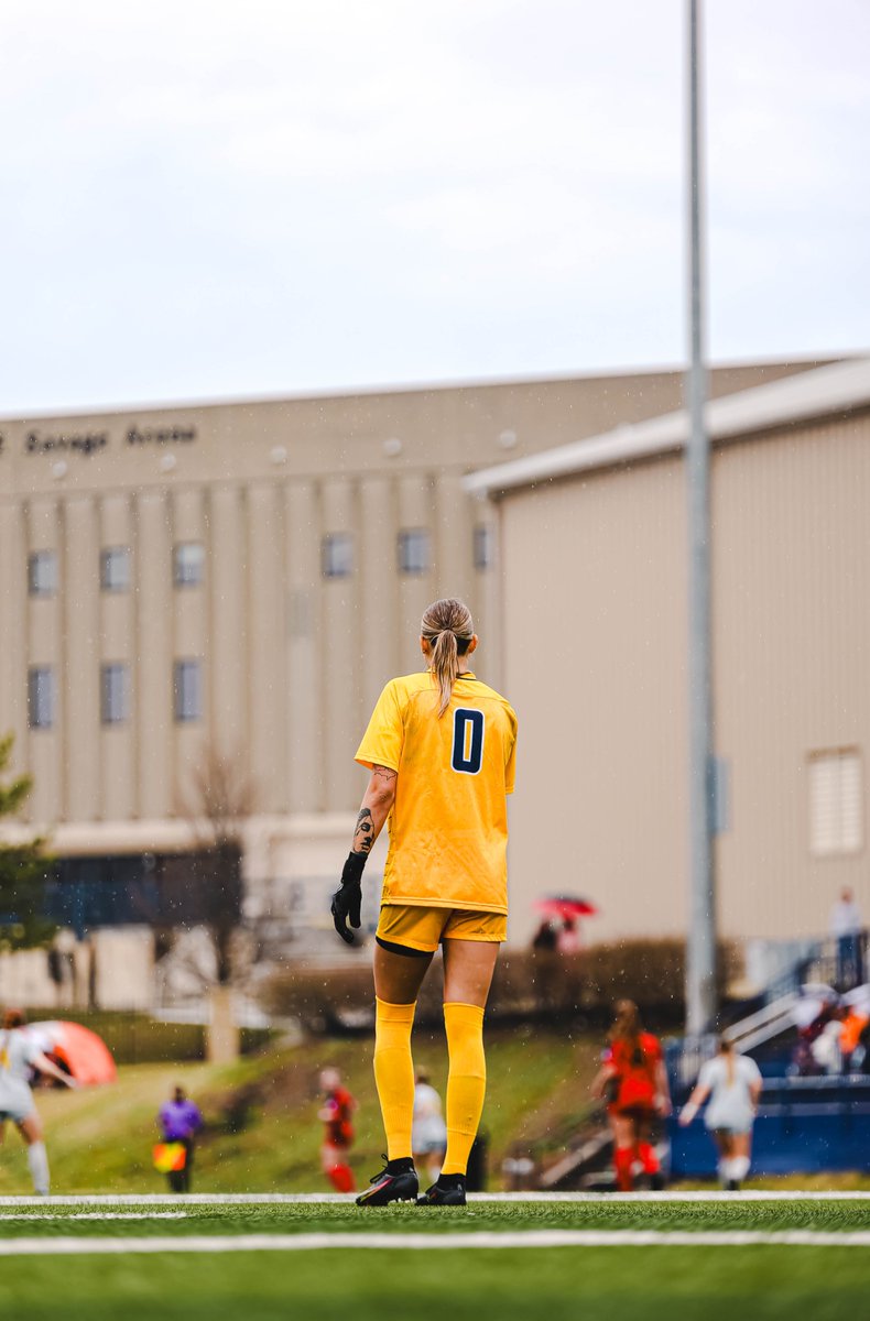 Toledo Soccer tweet media