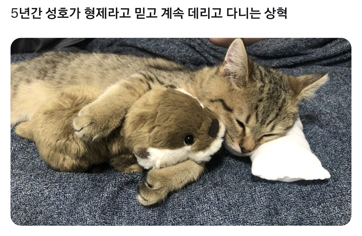 03___301's tweet image. ㄹㅅ
