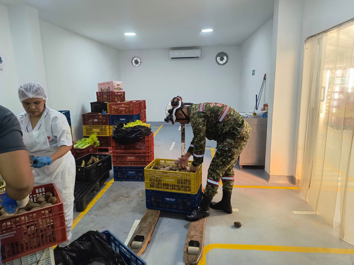 Ingenieros_EJC's tweet image. En el Banco de Alimentos de Barranquilla, #Atlántico, soldados de la Brigada de Ingenieros de Atención y Prevención de Desastres apoyan con labores de clasificación, separación, empaque, cargue y descargue de más de una tonelada de alimentos, los cuales serán entregados a las…