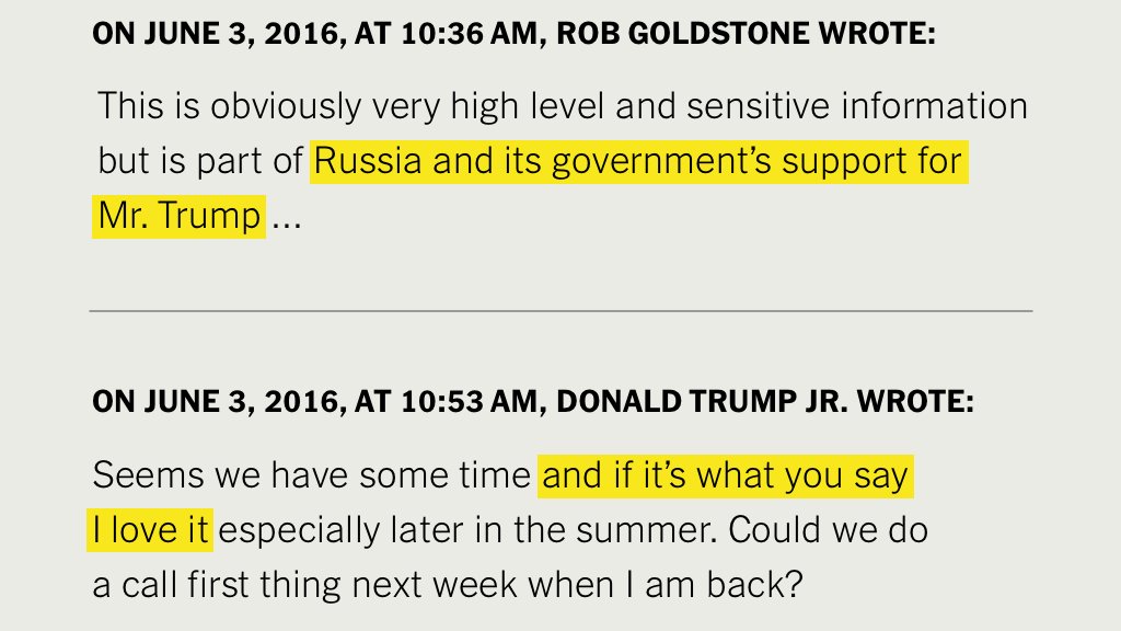 It's really wild that there's a chain of emails (released by Don Jr. himself) saying:
"Hey wanna do some crimes with the Russian govt?"
to which he replies
"Hell yeah let's do it. I love it!"

And people still pretend it's made up.