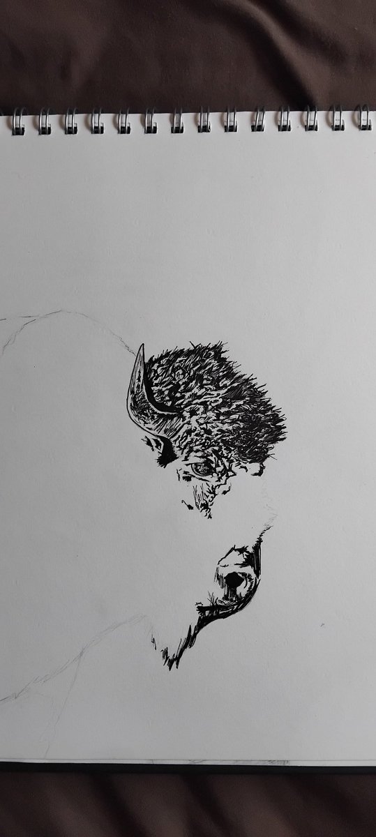 Alexrites's tweet image. A bison!