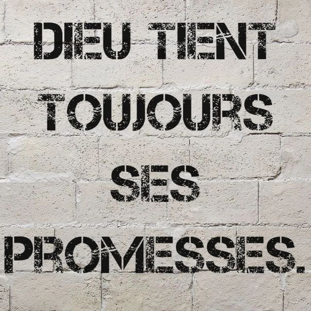 InstaCitation0's tweet image. 