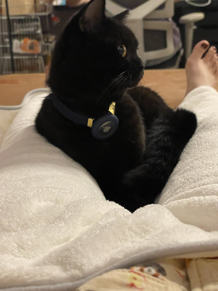 你干什么小姑娘，我要准备自慰了