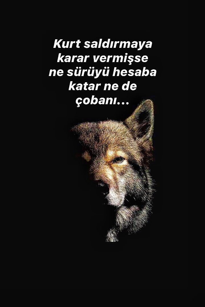 monarc19's tweet photo. https://t.co/7xH81paBDB
