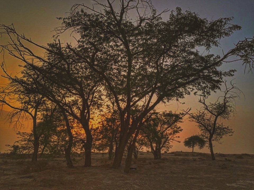 يبقى 
جمال الإهتمام في عفويته 
 فلا تطلبوه 

الطبعية و الغروب و صورة 

( تصويري ) 📱🇰🇼

#الكويت #كويت #كلام_من_القلب #كلام_في_الخاطر #تصوير #تصويري #صورة_اليوم #صور #الغروب #غروب #صورة