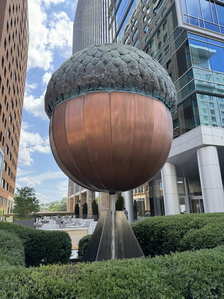 Seitz_Unseen's tweet image. Just when I thought *I* was the biggest nut in Raleigh, NC…! 🐿️