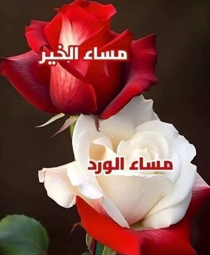 <a href="/jo_b52/">نبض الصحراء 💥</a>