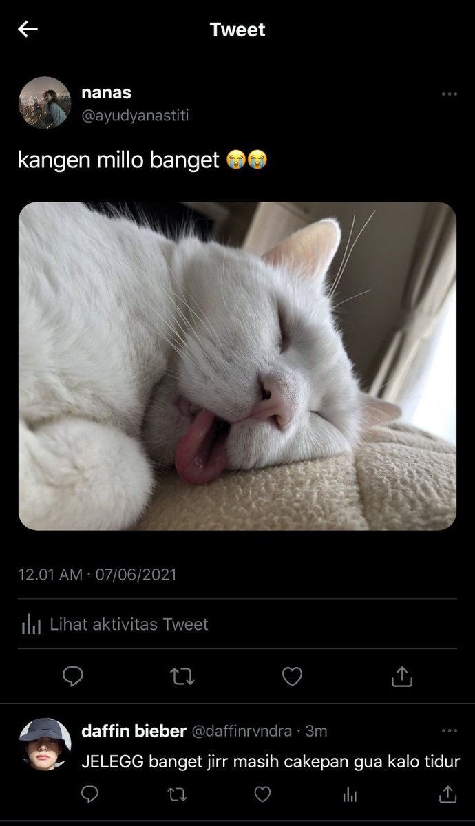 syn ★ tweet media