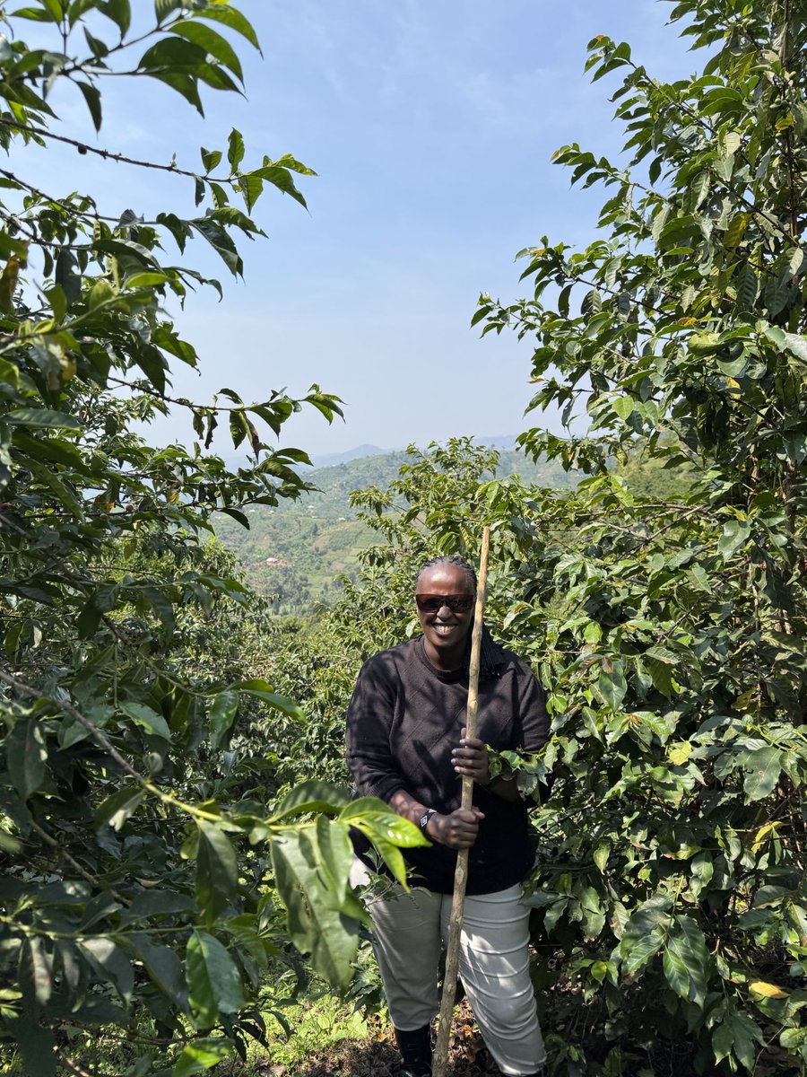 MsBrenda_A's tweet image. Hiked Mt.Rwenzori today with the team at @mtnharvestug. It was more than just a climb; but a chance to see where the story of great Ugandan coffee really begins.
Grateful for the journey, both the uphill trek & the bigger one we’re walking together through the support of @ITCnews