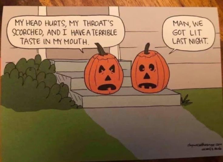 Immabitch23's tweet image. 