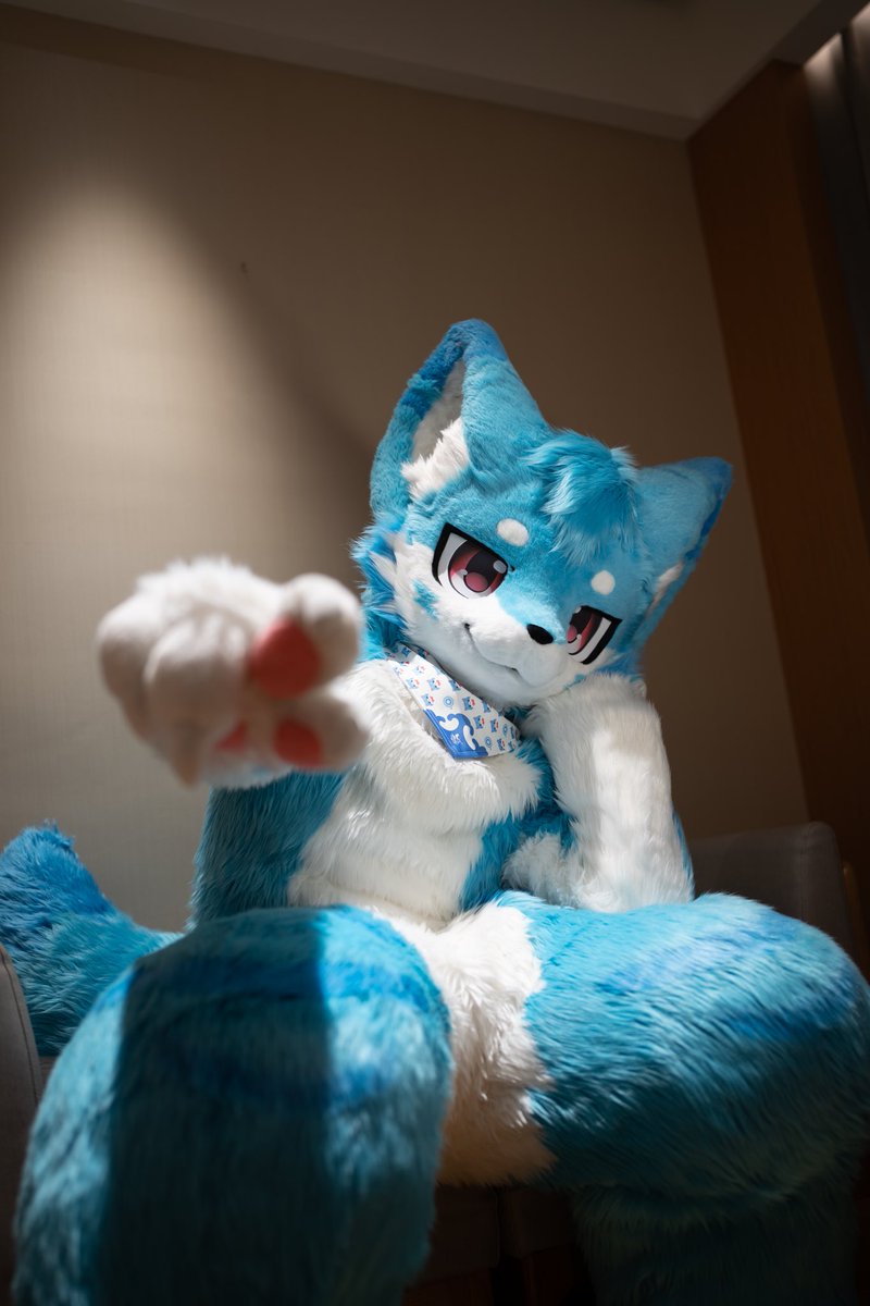 #FursuitFriday 
该选谁好呢，就你吧～
📸：<a href="/KaiK_525/">凯KeAi</a>