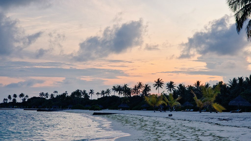 takanashikiara's tweet image. Was going through old photos and damn i miss the maldives..