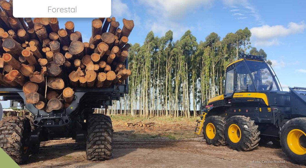 NOVEDADES REVISTA INIA
✅Nuevas funcionalidades en el módulo de trozado de los sistemas de apoyo a la gestión forestal de INIA.
▶️inia.uy/sites/default/…