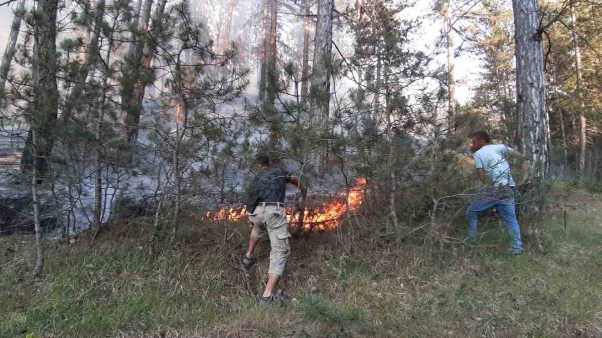 Bolu’da yine orman yangını başladı

Mudurnu ilçesi Yüzüncü Yıl Köyü mevkiinde çıkan yangına ekipler müdahale ediyor

Köylüler su tanklarıyla ekiplere destek veriyor. Bazı yırttaşlar ise orman içinde dal parçalarıyla alevleri söndürmeye çalışıyor.

#KuzeyOrmanlarıYanıyor