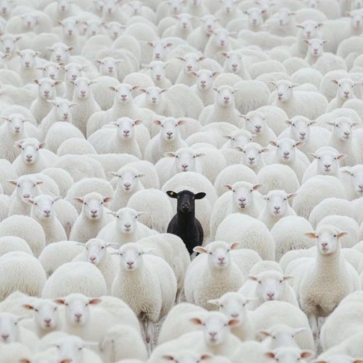 Opsylo_jay's tweet image. A rare picture of me in my family