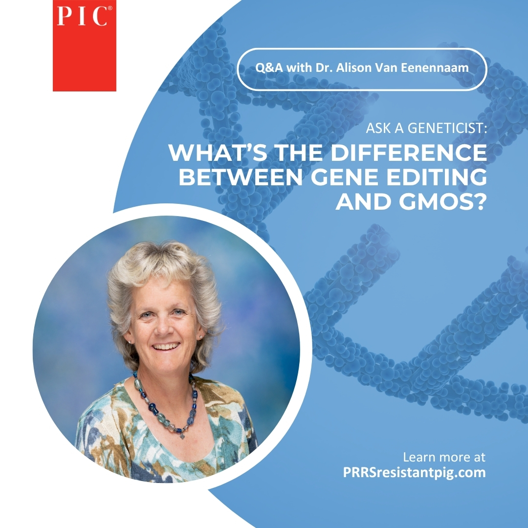 Gene editing and GMOs are not the same thing. 

But what is the difference? 

We sat down with geneticist Alison Van Eenennaam to get more details on the important distinction.

Learn more: bit.ly/4kUvcgs