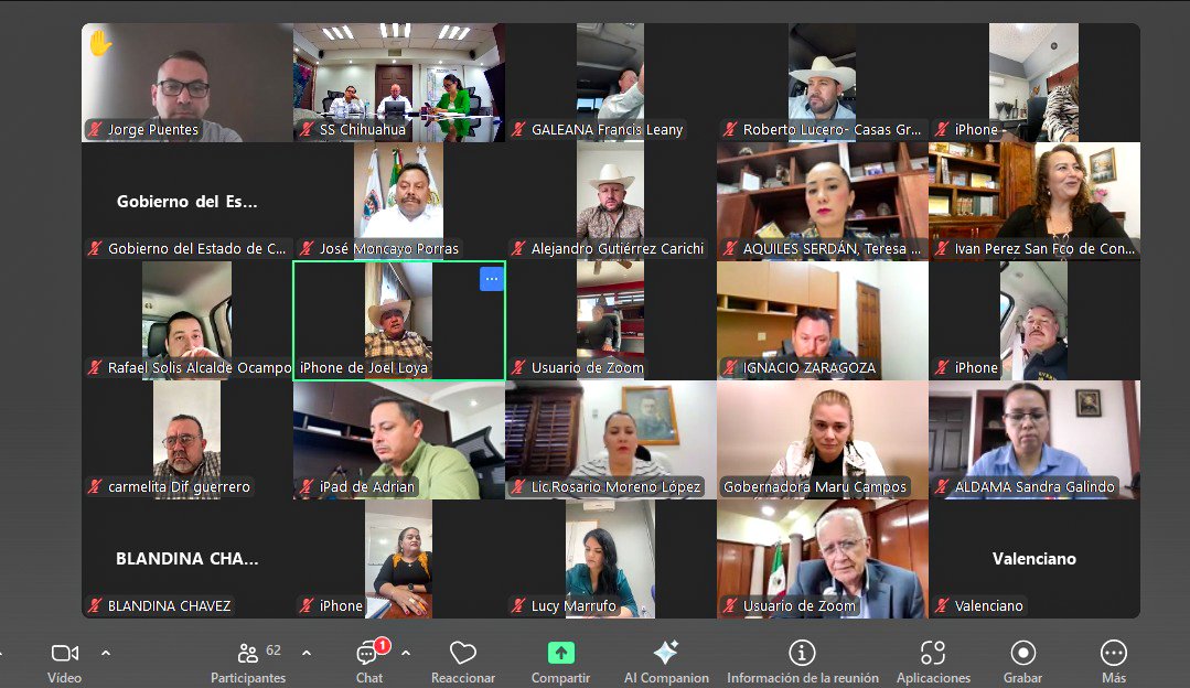 Maru Campos tweet media