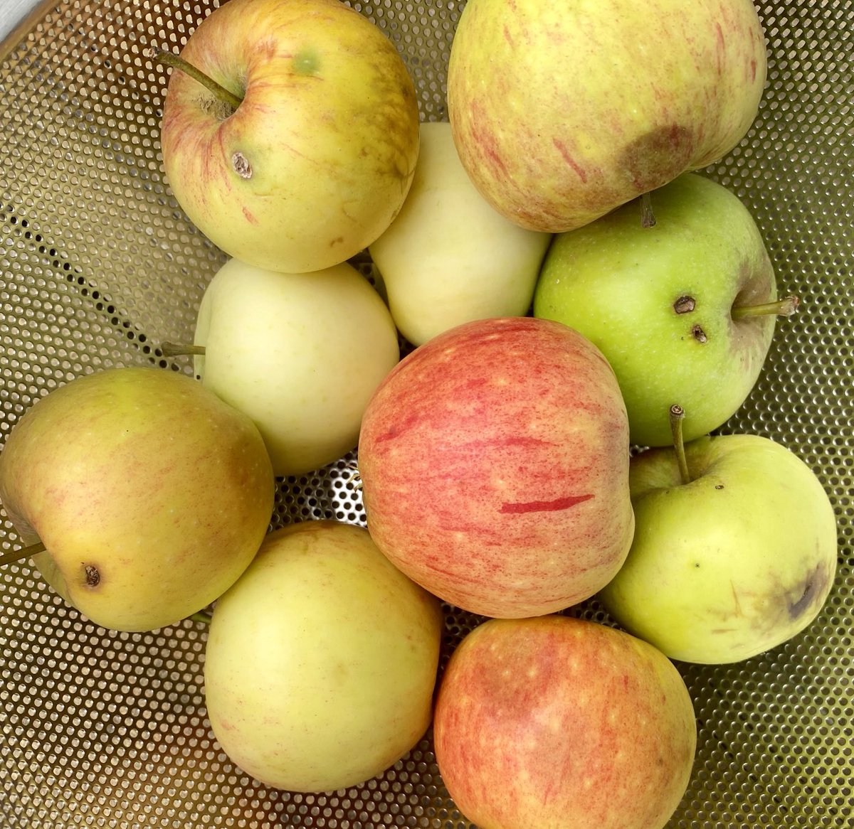 Eben war es noch Fallobst - jetzt ist es Apfelmus