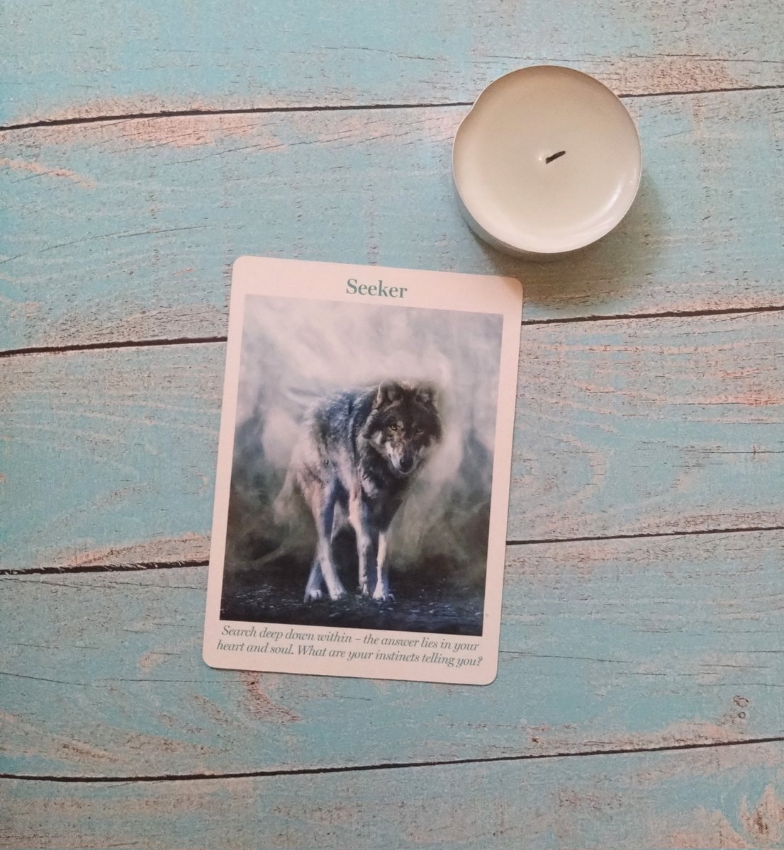 Nwizcrafts's tweet image. #DailyOracle - Moon Energies - Seeker - What are your instincts telling you? Become like the animal again and follow those instincts. Today, The New Moon in Leo wants you to return to natural raw confidence. It's time to explore the world differently not robot-like.