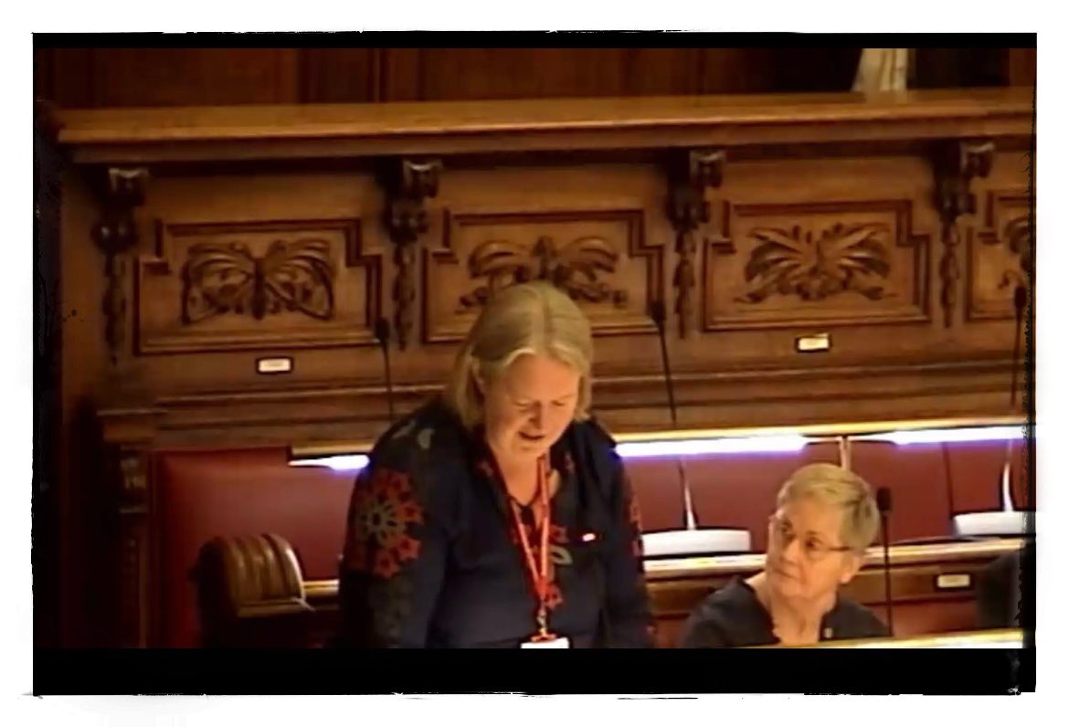 GreenGreenwich's tweet image. At last! Greenwich Green, Cllr Tamasin Rhymes at her first full Council meeting last night asking questions on behalf of constituents.  So proud.