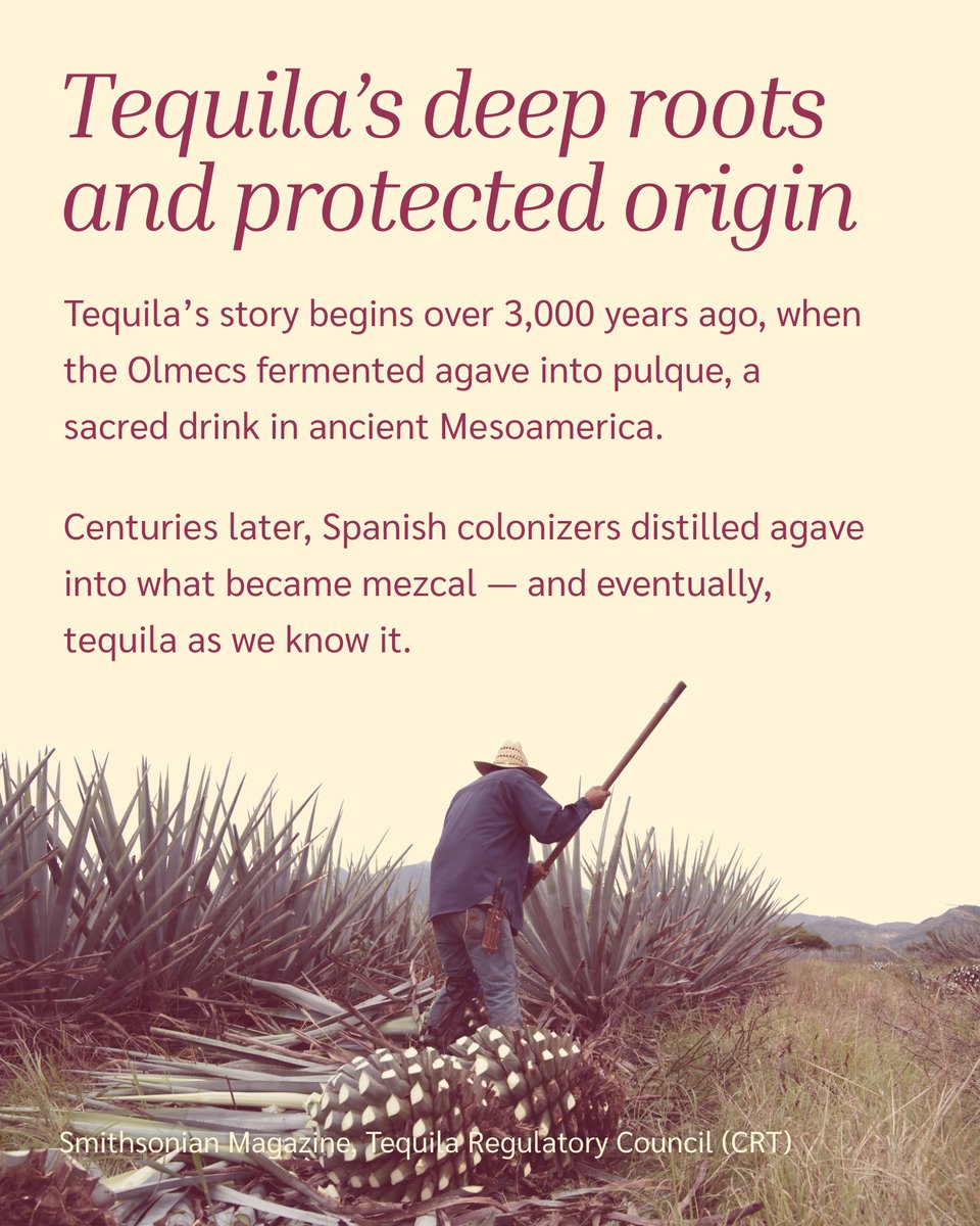 ClaretPlan's tweet image. What do ancient rituals, celebrity brands, and global logistics have in common? Tequila. 🌵🍹
This #NationalTequilaDay, we’re breaking down how it went from tradition to global powerhouse — and the complex supply chain behind every bottle.
#BevAlc #Agave #SupplyChainPlanning