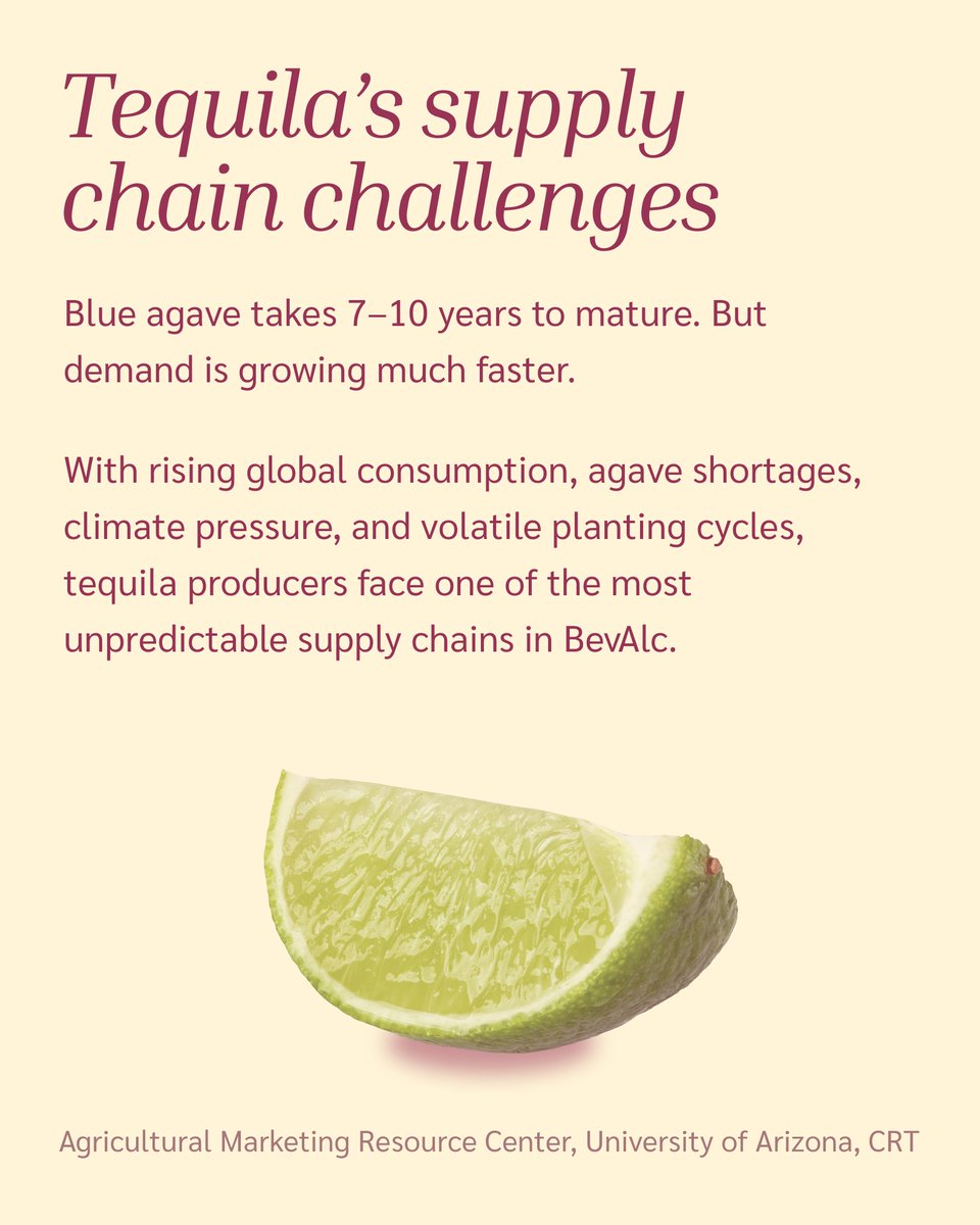 ClaretPlan's tweet image. What do ancient rituals, celebrity brands, and global logistics have in common? Tequila. 🌵🍹
This #NationalTequilaDay, we’re breaking down how it went from tradition to global powerhouse — and the complex supply chain behind every bottle.
#BevAlc #Agave #SupplyChainPlanning