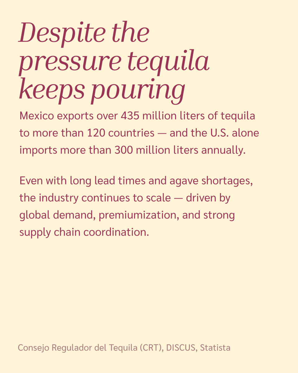 ClaretPlan's tweet image. What do ancient rituals, celebrity brands, and global logistics have in common? Tequila. 🌵🍹
This #NationalTequilaDay, we’re breaking down how it went from tradition to global powerhouse — and the complex supply chain behind every bottle.
#BevAlc #Agave #SupplyChainPlanning
