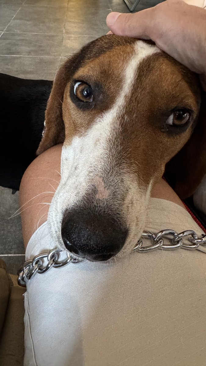 “Canım Leyla,  resmen ölümün kıyısından dönerek yaşamayı seçtin ve ben öyle mutluyum ki bu süreci başarıyla atlattığımız, hayatta olduğun için.. Ama bir yandan da içim buruk, korku ve endişe içindeyim. Çünkü taburcu olduktan sonra korkuyla yaşadığın o sokaklar dışında gidecek