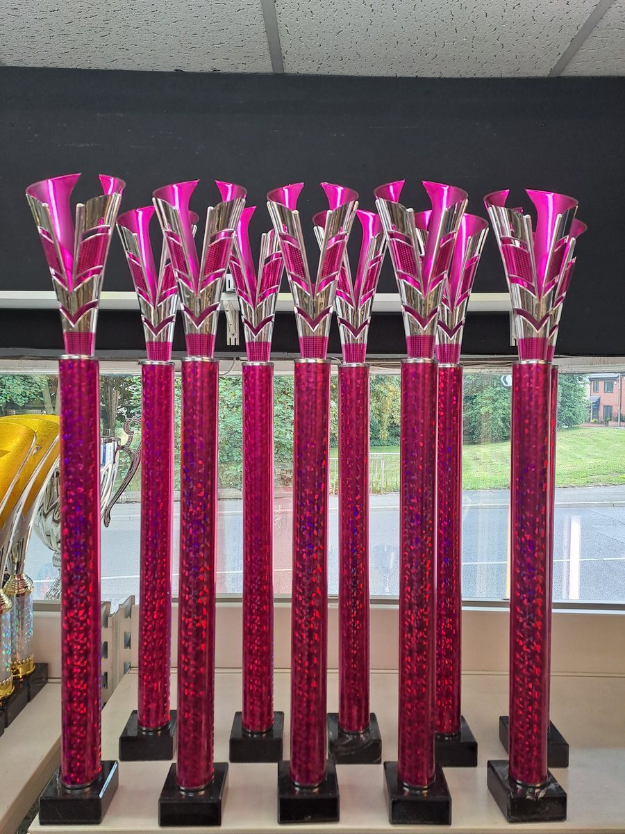 X10 Pink Tubing Awards 

695mm in height

Only £16.99 each with wording included

Collection only