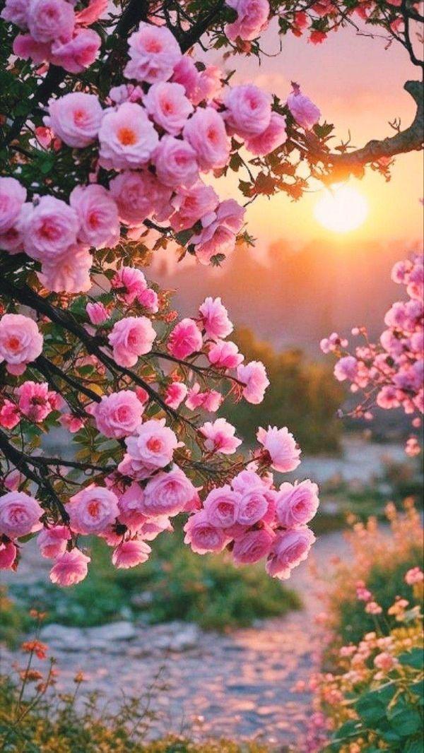 HalimaS01's tweet image. 🌸 The strongest are gentle.
🌸 The smartest are quiet.
🌸 The wealthiest are simple.
🌸 The happiest are private.
🌸 The bravest are calm.
🌸 The wisest listen more than they speak.
🌸 The most confident uplift others.
🌸 The most beautiful souls are humble.