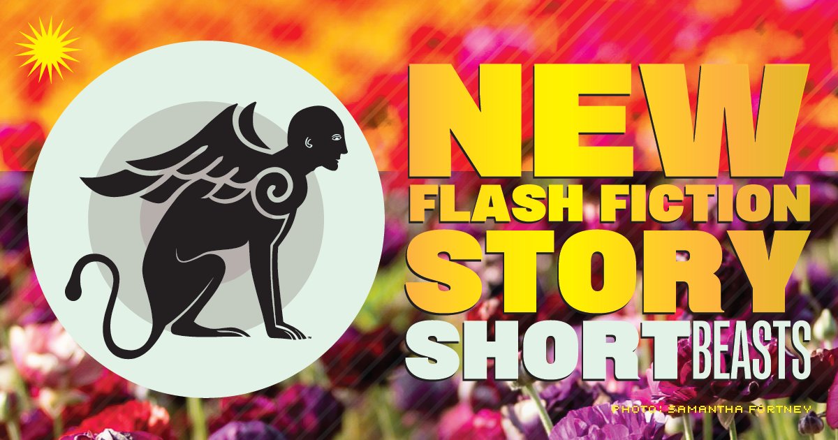 Today, author Meryl A.H. Franzos playfully embraces Short Beasts' rule of omitting real brand names. "#YOLO" is a story about finding a bright way forward, on Short Beasts bit.ly/44WrRaZ