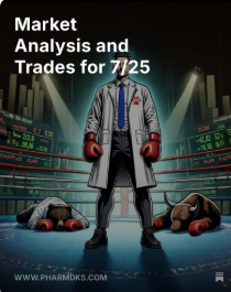 $SPY $QQQ Analysis and Trade Setups for 7/25 is out. The NQ high is a significant focus