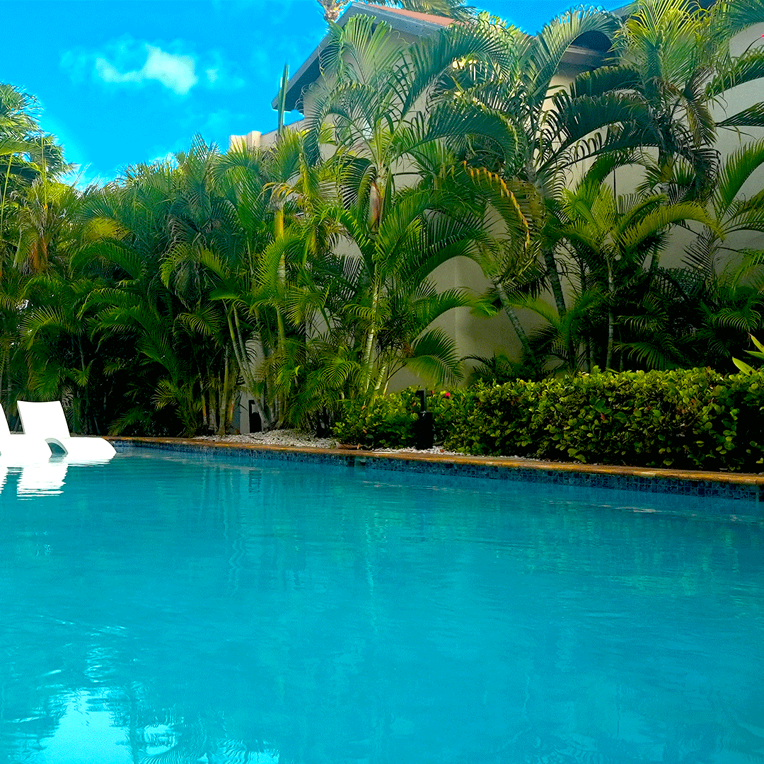 Soak up the sunshine and take in the stunning tropical garden views from the pool deck at Divi Aruba All Inclusive. Find your perfect spot to relax and unwind, it's all here waiting for you in Aruba.

See what's waiting—bit.ly/3EvROkj