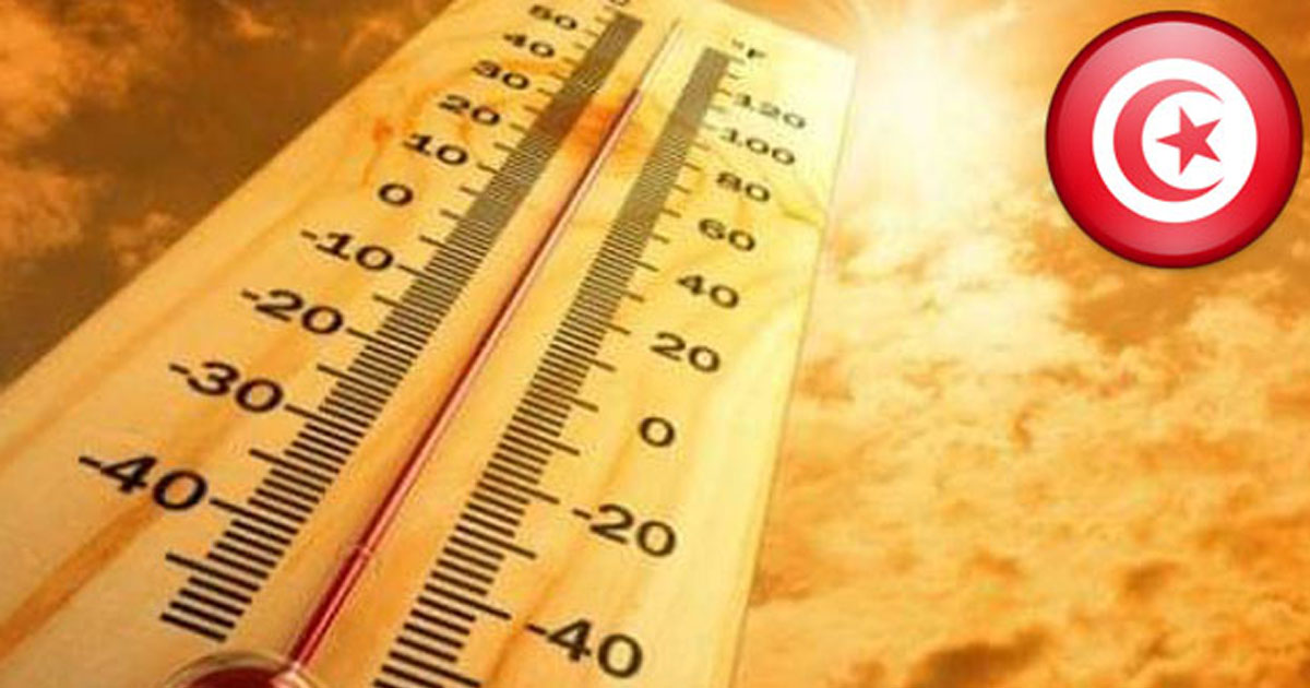 TapNewsAgency's tweet image. #Tunisia: #Kairouan & #Tozeur topped the list of the country's hottest regions on Thursday, with temperatures reaching 48°C, ahead of #Medenine 47°C; #Kebili, #Gabes & #Tataouine 46°C; #Beja, #SidiBouzid & #Gafsa 45°C; #Zaghouan 44°C; & #Kef, #Siliana & #Monastir 43°C. #TAP_En