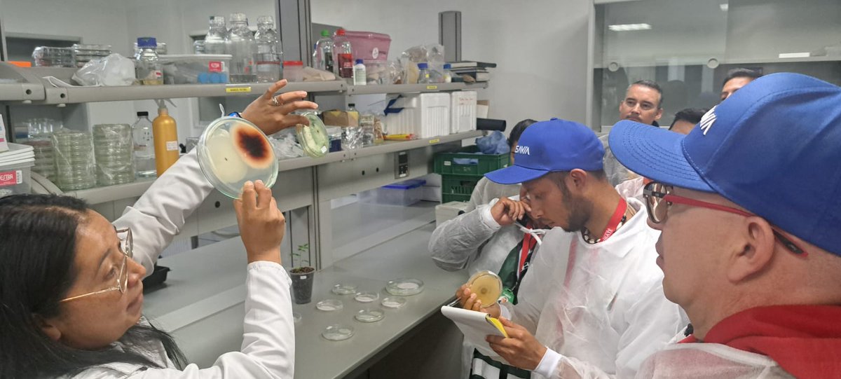 SBVerdeCund's tweet photo. 🌱 ¡Cundinamarca siembra futuro!
Culmina con éxito el ciclo de capacitaciones técnicas liderado por @AmbienteCund y @SomosAGROSAVIA con participación de 45 viveristas y funcionarios de: Facatativá,Soacha, Sibaté,Nocaima,Madrid,Bojacá, Mosquera, Chía, Anapoima, El Rosal y Zipacón. https://t.co/Tk1QPWs2D5