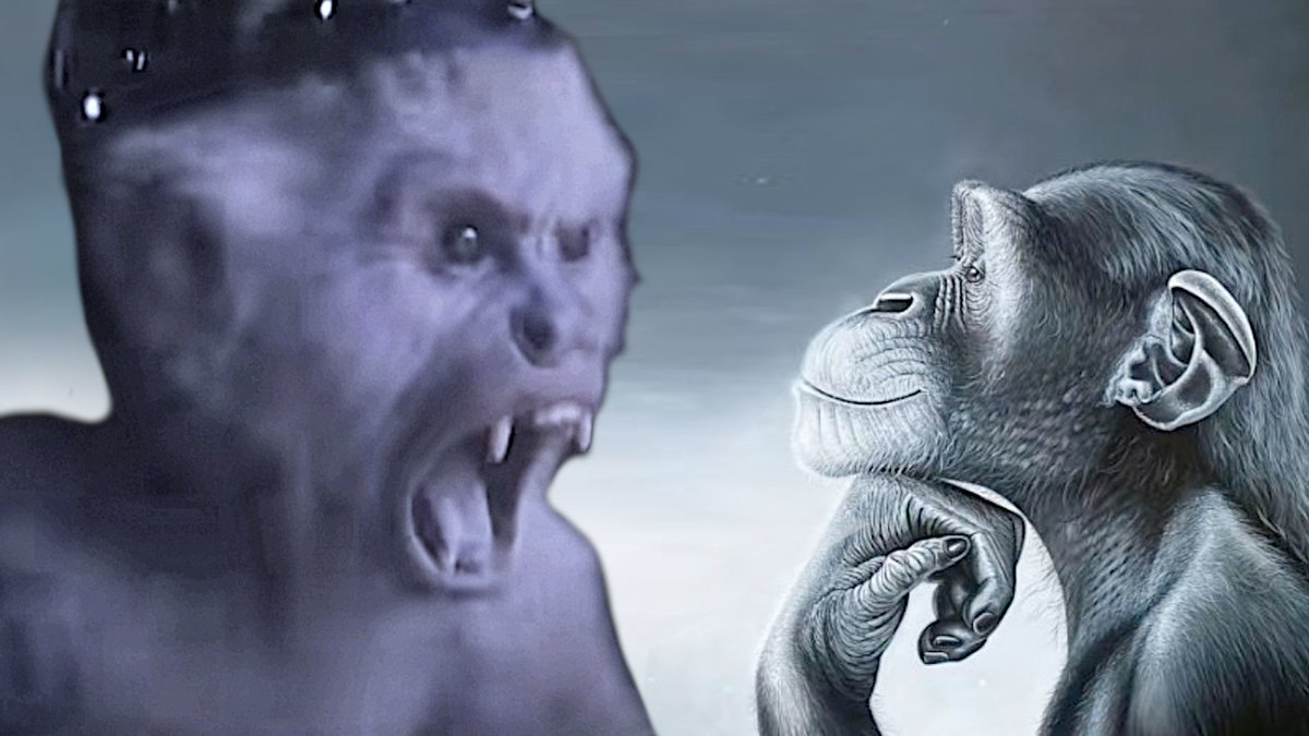 MischiefsYT's tweet image. "That's a nice argument.
Unfortunately, I have depicted you as Lex Luthor's pocket dimension monkey and myself as the composed chad Chimpanzee"